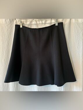 Ann Taylor Black Circle Skirt